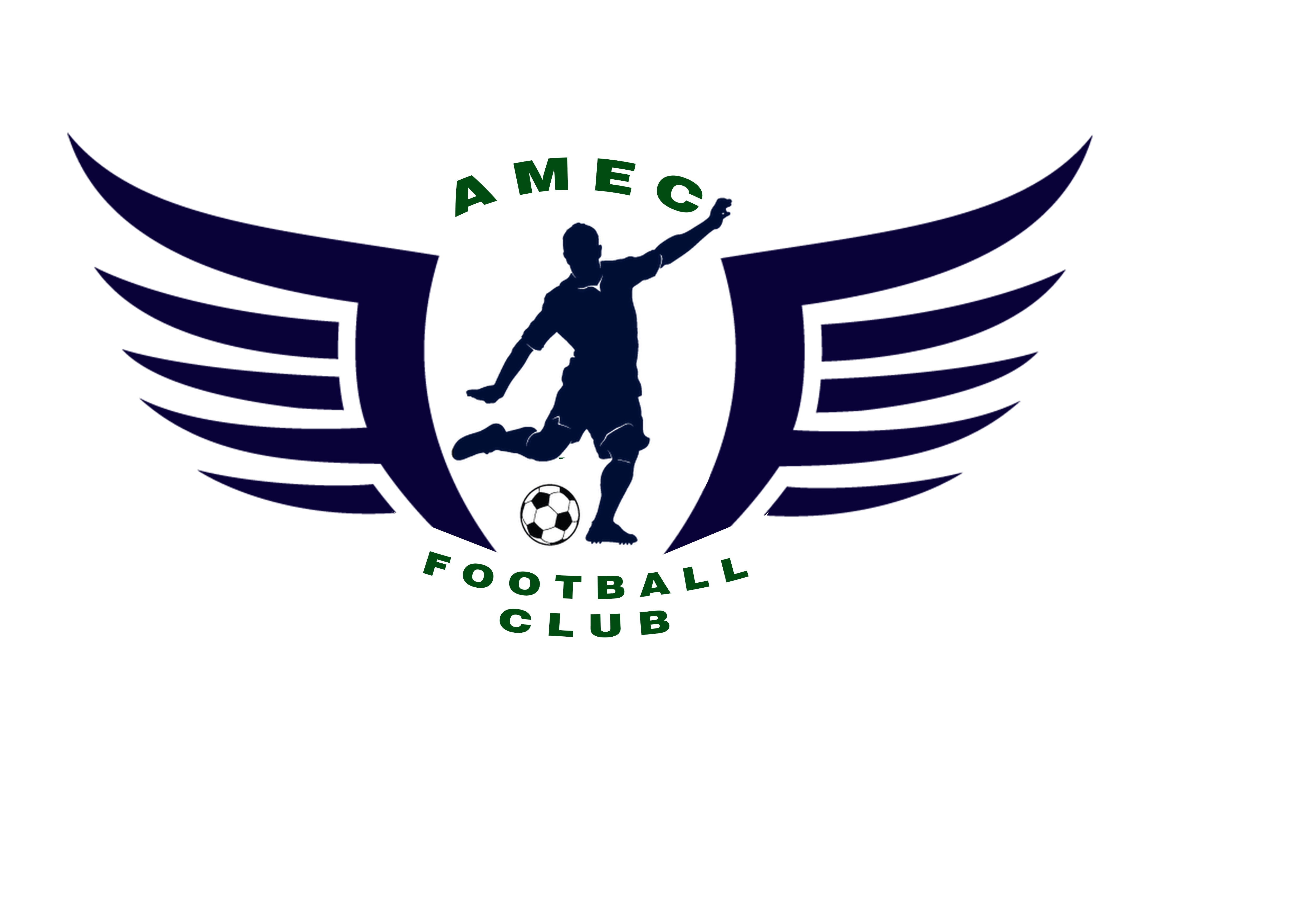 AMEC FC